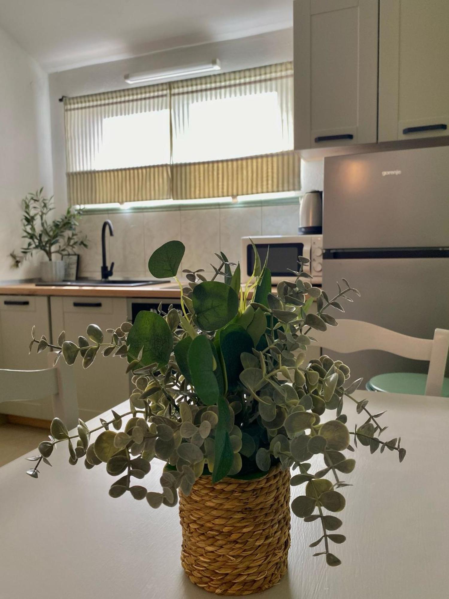 Apartments Maria Kukljica Εξωτερικό φωτογραφία